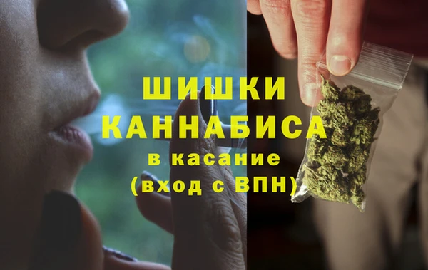 прущие грибы Нефтекумск