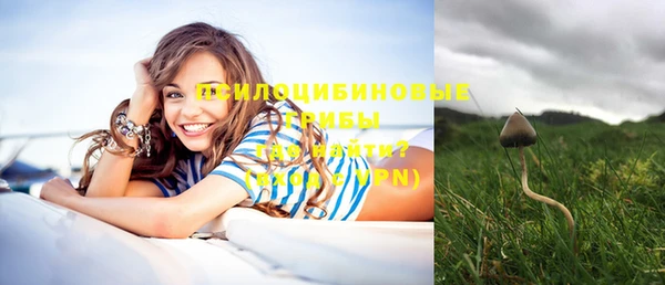 скорость Нея