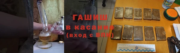 прущие грибы Нефтекумск