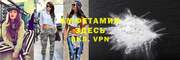 прущие грибы Нефтекумск